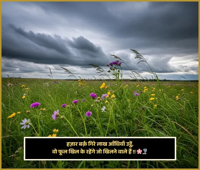 Flower Shayari